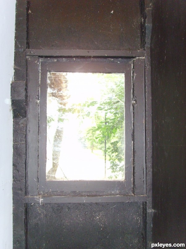 Window in farm